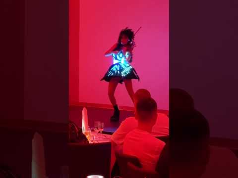 Video: LED Violin Show