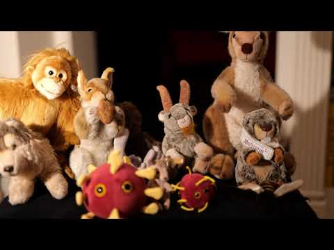 Video: Bach Prélude G-Dur