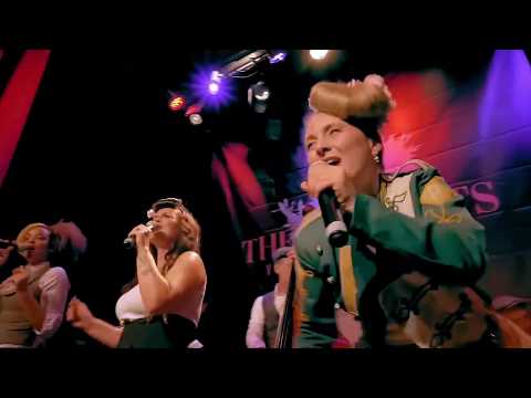 Video: Lou's THE COOL CATS - Live Trailer