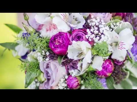 Video: Halt mich 