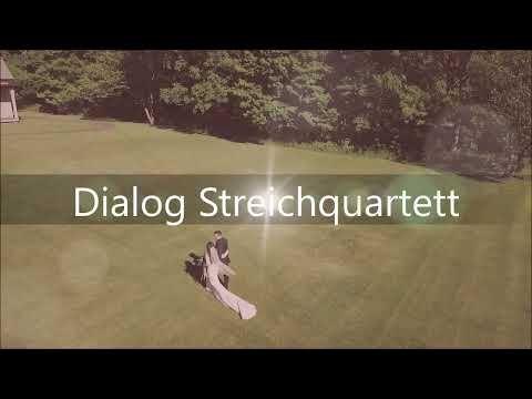 Video: Pachelbel Kanon D Dur
