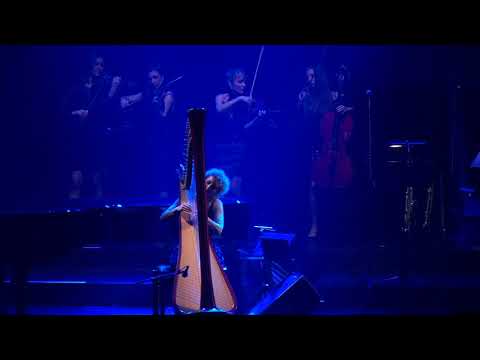 Video: Die Quelle von Johanna Dammert