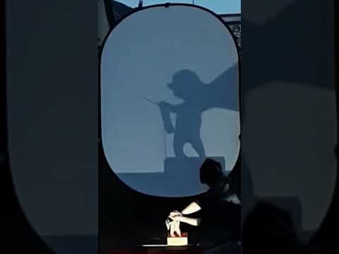 Video: Handschattentheater: "Beethoven 5th"