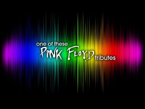 Video: One Of These Pink Floyd Tributes - Moments