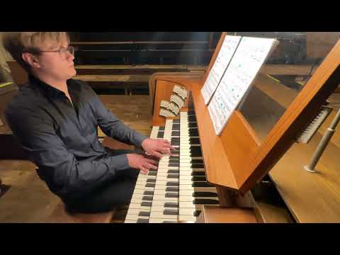 Video: Max Reger - Erste Sonate op. 33