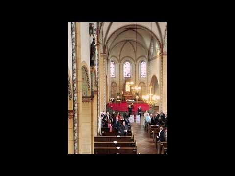 Video: Dominik Dlask - Whitney Houston (My love is your love)