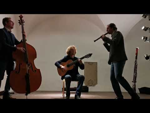 Video: Wunderbaum, Flötensolo, live am 26. Januar 2025 in Abensberg