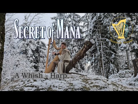 Video: Secret of Mana - A Whish