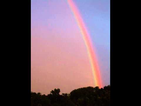 Video: rainbow sign