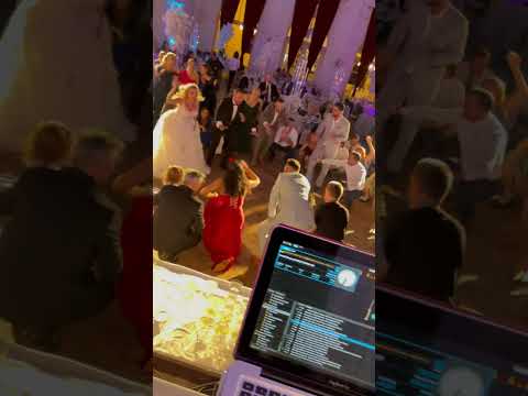 Video: Wedding Party