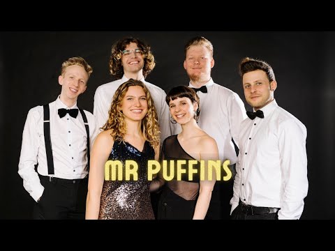 Video: Puffins Original - Mash-Up