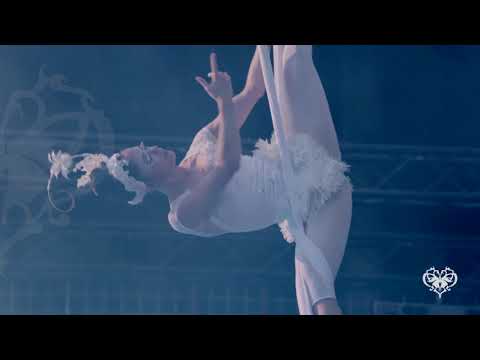 Video: Flying Swan // Märchenhafte Aerial Performance