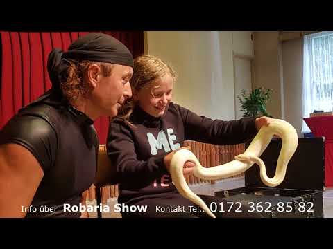 Video: Feuershow Schlangenshow Robaria Überblick