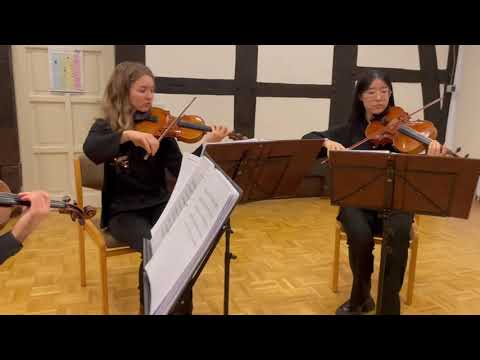 Video: Stairway to Heaven