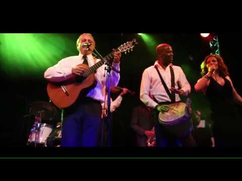 Video: Live Concert