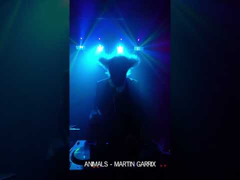 Video: EDM Banger