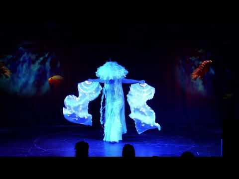 Video: Medusa - Ocean Quinn 