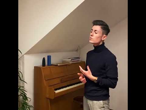 Video: Teach me how to love - Shawn Mendes (Cover by Joel Schneider)