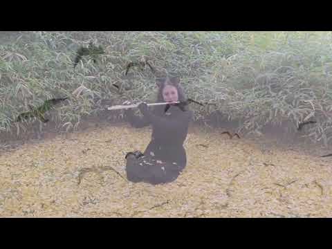 Eine kleine, traurige, aber wunderschöne Melodie auf der Flöte. Video: Eine kleine, traurige, aber wunderschöne Melodie auf der Flöte.