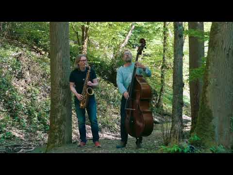 Video: Im Wald