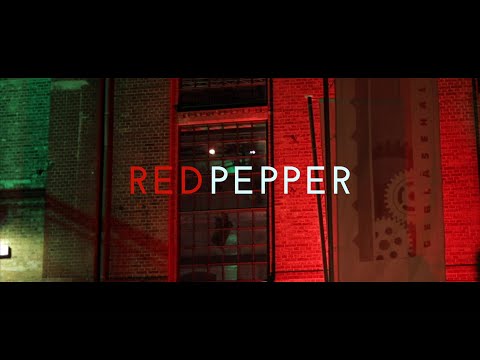 Video: REDPEPPER Demovideo 2019