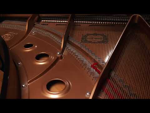 Video: a thousand years 