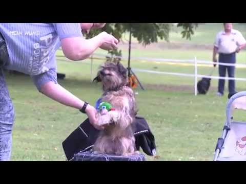 Video: Die HotDogZ auf der &quot;Mein Hund&quot;-Messe in Schloss Oelber 2014