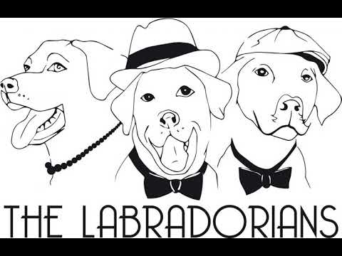 Video: The Labradorians Snippet